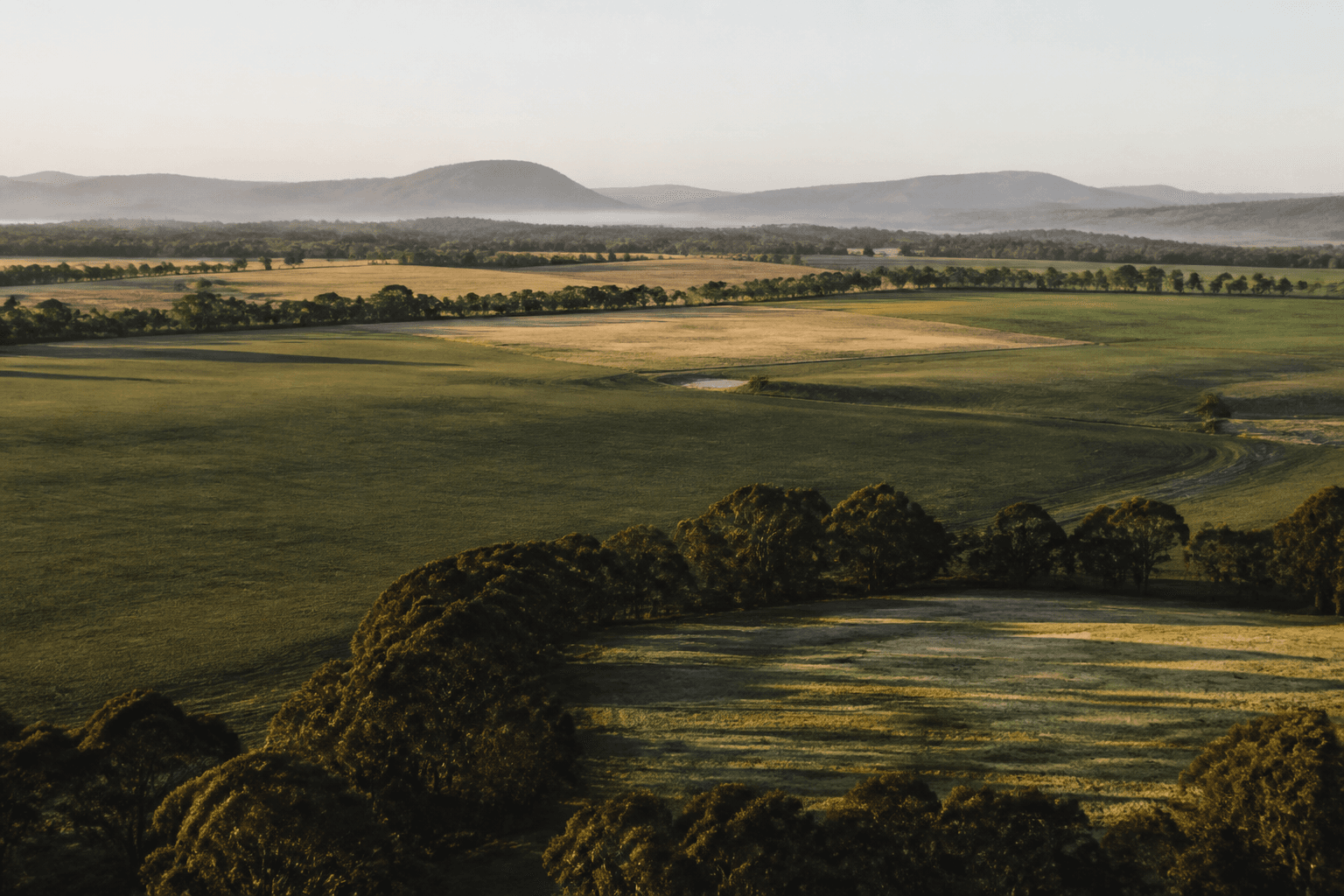 Australian agricultural land, viewed across broad paddocks